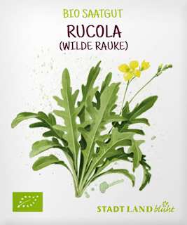 Saaten, Rucola (Wilde Rauke) Stadt Land blüht