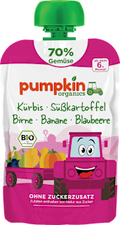 Quetschie Kürbis, Süßkartoffel, Birne, Banane & Blaubeere ab 6 Monaten pumpkin organics
