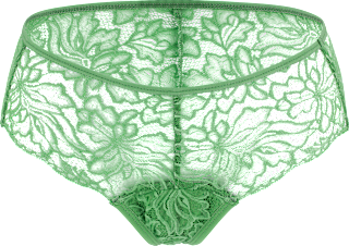 Periodenunterwäsche Hipser Allover Lace Bright Sage, Gr. 32-34 ooia