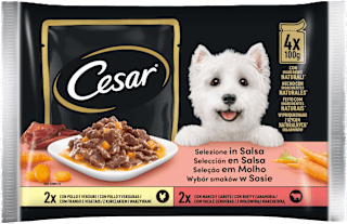 Selezione in salsa cibo umido per cani adulti Cesar