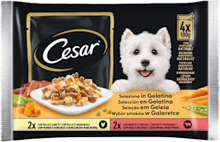 Selezione in gelatina cibo umido per cani adulti Cesar