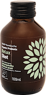 Bio kombucha shot Relax VIGO