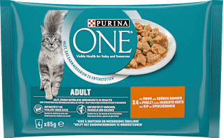 Nassfutter Katze Adult Huhn & Grüne Bohnen PURINA ONE