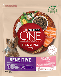 Karma sucha dla psów dorosłych, łosoś i ryż ONE MINI Delicate PURINA ONE