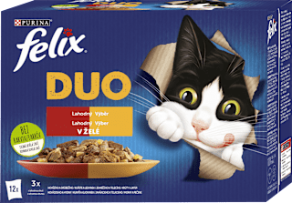 Fantastic Duo pro kočky lahodný výběr v želé 12x85 g, Multipack Felix