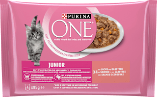Nassfutter Katze Junior mit Lachs & Karotte PURINA ONE