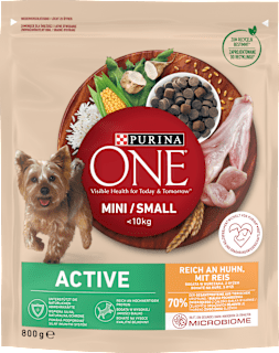 Karma sucha dla psów dorosłych, kurczak i ryż ONE MINI Active PURINA ONE
