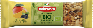 Barretta bio con mango e gelso nero  noberasco