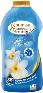 Ammorbidente concentrato Fresca Rugiada Spuma di Sciampagna