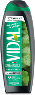 Doccia shampoo uomo alla menta e ginkgo VIDAL