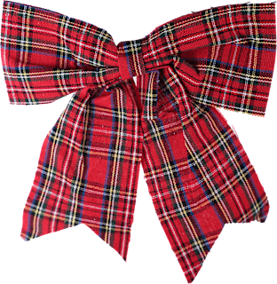 Ukrasna mašna ZOVAK