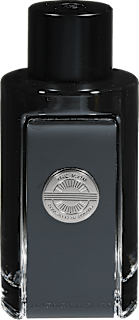 THE ICON Edp - muški  ANTONIO BANDERAS