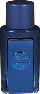 THE ICON SUPREME EDP - muški parfem ANTONIO BANDERAS