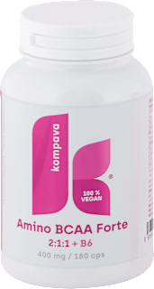 Kapsuly Amino BCAA Forte 2:1:1 + B6 400 mg Kompava