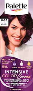 Vopsea permanentă V5 (6-99) Violet Intens Palette INTENSIVE COLOR CREME