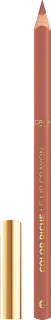 Lipliner Color Riche 601 Worth It L'ORÉAL PARiS