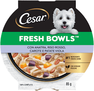FRESH BOWLS cibo umido per cani con anatra, riso rosso, carote e patate viola Cesar