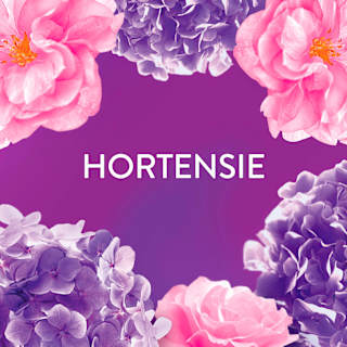 Weichspüler Blütentraum XXL Lenor