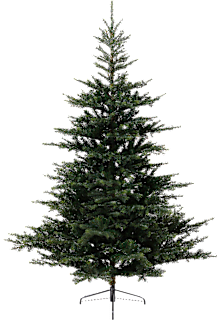 Everlands Künstlicher Tannenbaum Grandis Tanne (180 cm) Dekorieren & Einrichten