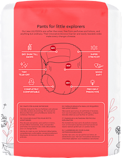 Baby Pants Gr. 6 (15+ kg) Monatsbox Lillydoo