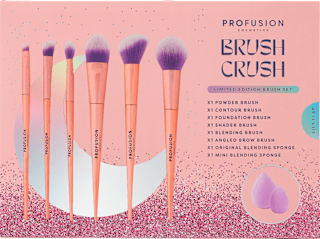 Set cadou 6 pensule și 2 bureți de machiaj PROFUSION COSMETICS