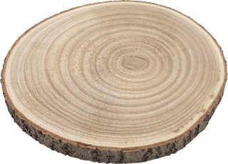 Holzscheibe Dekorieren & Einrichten