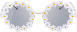 Sonnenbrille Gänseblümchen SUNDANCE