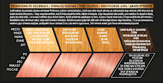 Farba do włosów 9.23 SANTA MONICA B. Jasny Blond Opalizująco-Złocisty L'ORÉAL PARiS PRÉFÉRENCE