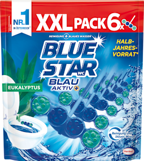 WC-Stein Blau-Aktiv+ Eukalyptus BLUE STAR