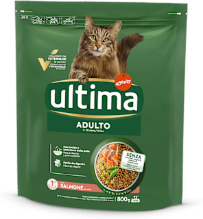 Cibo secco per gatti con salmone ultima