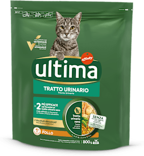 Cibo secco per gatti con pollo per un tratto urinario sano ultima