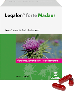Legalon forte Madaus pflanzliches Arzneimittel bei Lebererkrankungen  Hartkapseln  Legalon forte Madaus