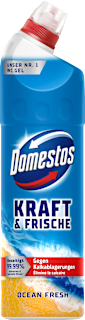 WC-Reiniger Gel Aktiv Kraft Ocean Fresh Domestos