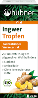 Ingwer Tropfen hübner