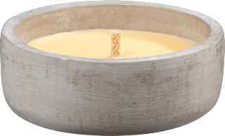 Citronella Zementschale Profissimo