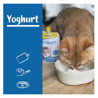 Nahrungsergänzung Katze, Joghurt  GimCat