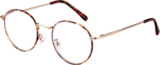 Fertig-Lesebrille Vollrand demi braun + 2,50 VISIOMAX