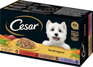 Nassfutter Hund landragout Cesar