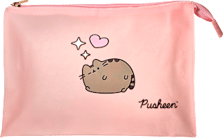 Kosmetyczka silikonowa Pusheen AURA