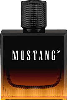 Amber Signature edt MUSTANG