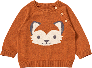 Pullover aus Strick mit Fuchs-Motiv, braun, Gr. 86 ALANA