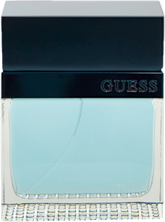 pánská EdT Seductive Homme Blue Guess