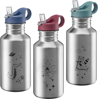 Steklenica iz nerjavečega jekla (500 ml), več različic babylove