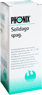 PHÖNIX Solidago spag. Mischung PHÖNIX