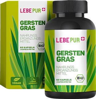 Gerstengras Lebepur