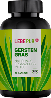 Gerstengras Lebepur