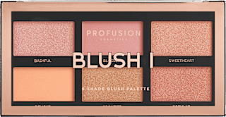 Blush paleta rumenila PROFUSION COSMETICS