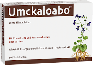 Umckaloabo 20mg Filmtabletten, Pelargonium-sidoides-Wurzeln-Trockenextrakt Umckaloabo