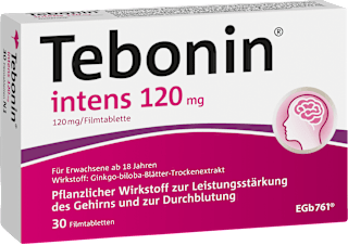 Tebonin intens 120mg Filmtablette Tebonin