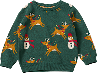 Pullover aus Strick mit Weihnachts-Muster, grün, Gr. 104 ALANA